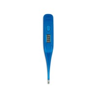 Digital Thermometer