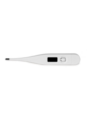 Plastic Medical Thermometer
