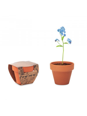 Forget Me Not Pot