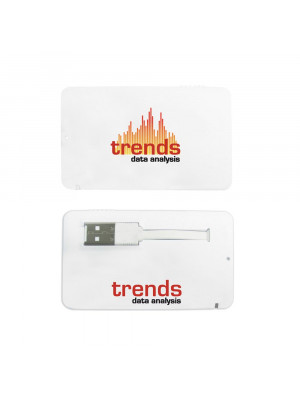 Business Card USB 2.0 Flash Drive