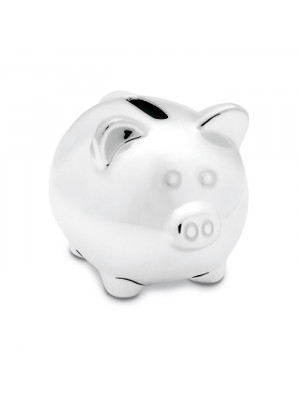 Silver Coloured Piggy Bank