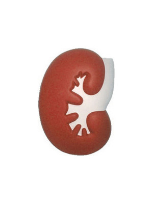 Large Kidney Shape Stress Reliever