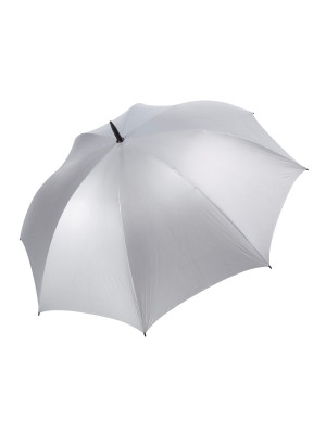 Virginia Silver Umbrella