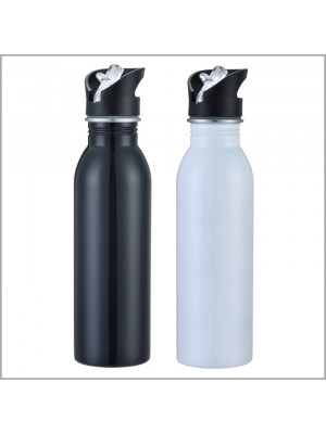 Stainless Steel Drink Bottle with Straw
