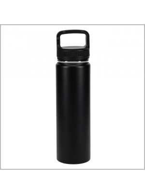 Thermo Bottle 650Ml