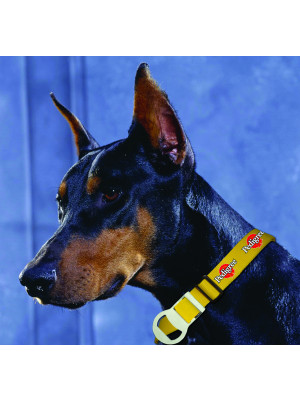 Manâ€™S Best Friend Dog Collar