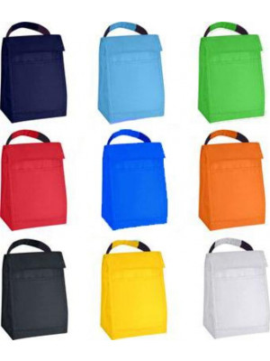 Budget Cooler Bag With Grip
