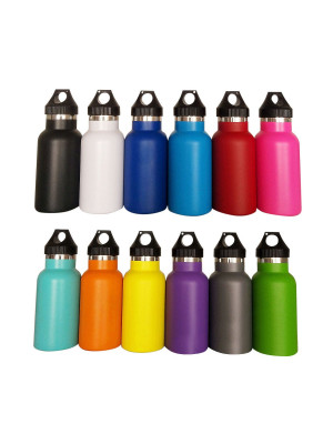 500ml Double Wall Vacuum Bottle with PP Lid