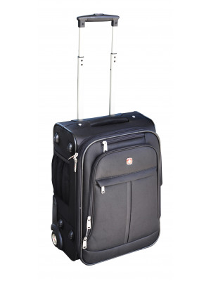 Swiss Alps 20' Carry On Case