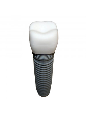 Tooth Implant Pvc Flash Drive