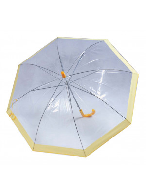 Iceland Clear Plastic Umbrella