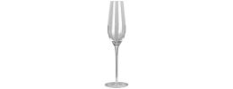 Champagne Flute