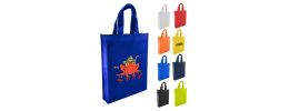 Non Woven Trade Show Bag