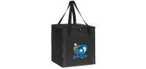 Arctic Cooler Bag