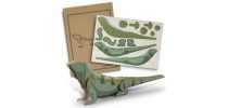 BRANDCRAFT Tuatara Wooden Model