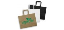 Large Flat Handle Paper Bag Landscape