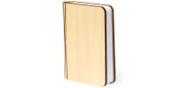 LED Lamp Joneson