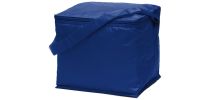 Basic 6 Pack Cooler