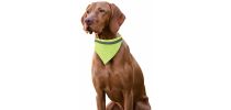 Bandana Pet Collar Bipols