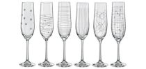 Elements Champagne Flute Set of 6