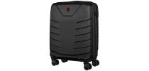 Pegasus Hardside Carry-on