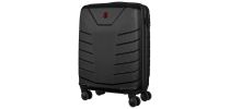 Pegasus Hardside Large