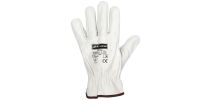 Rigger Glove 5 Pack