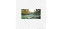 Brookwater (Qld) Golf Voucher For 4