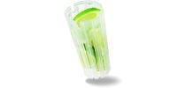 Infuser Water Botter