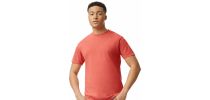 Adult Heavyweight T-Shirt