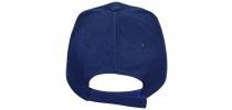 Sandwich Promo Cap