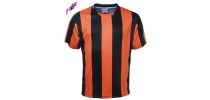 Unisex Adults Sublimated Striped Football Jersey