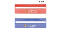 20cm Ruler with Magnifying