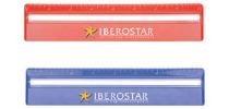 20cm Ruler with Colour and Magnifying