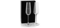Ariston Aura Flute Twin Pack
