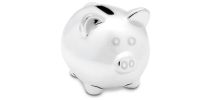 Silver Coloured Piggy Bank