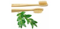 Natural Bamboo Toothbrush
