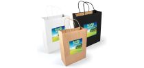 Express Paper Bag Large