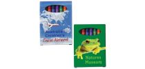 Assorted Colour Crayons in Custom Design Cardboard Box