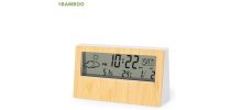 Roamer Weather Station