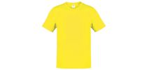 Adult Color T-shirt Hecom