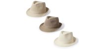 Hat Bauwens