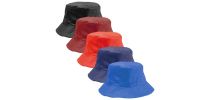 Reversible Hat Nesy