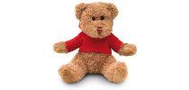 Teddy Bear Plus With T Shirt
