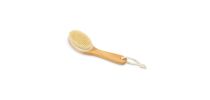 Dry Brushing Body Brush