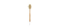 Detachable Shower Brush With Long Handle