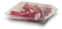 Players Pillow Pack