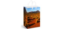 Full Colour Paper Bag Medium