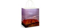 Full Colour Paper Bag Large