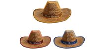 Light Up Straw Hats